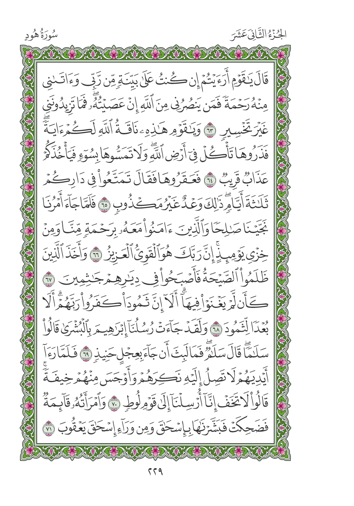 مصحف المدينة النبوية — طبعة المجمع، الصفحة 229