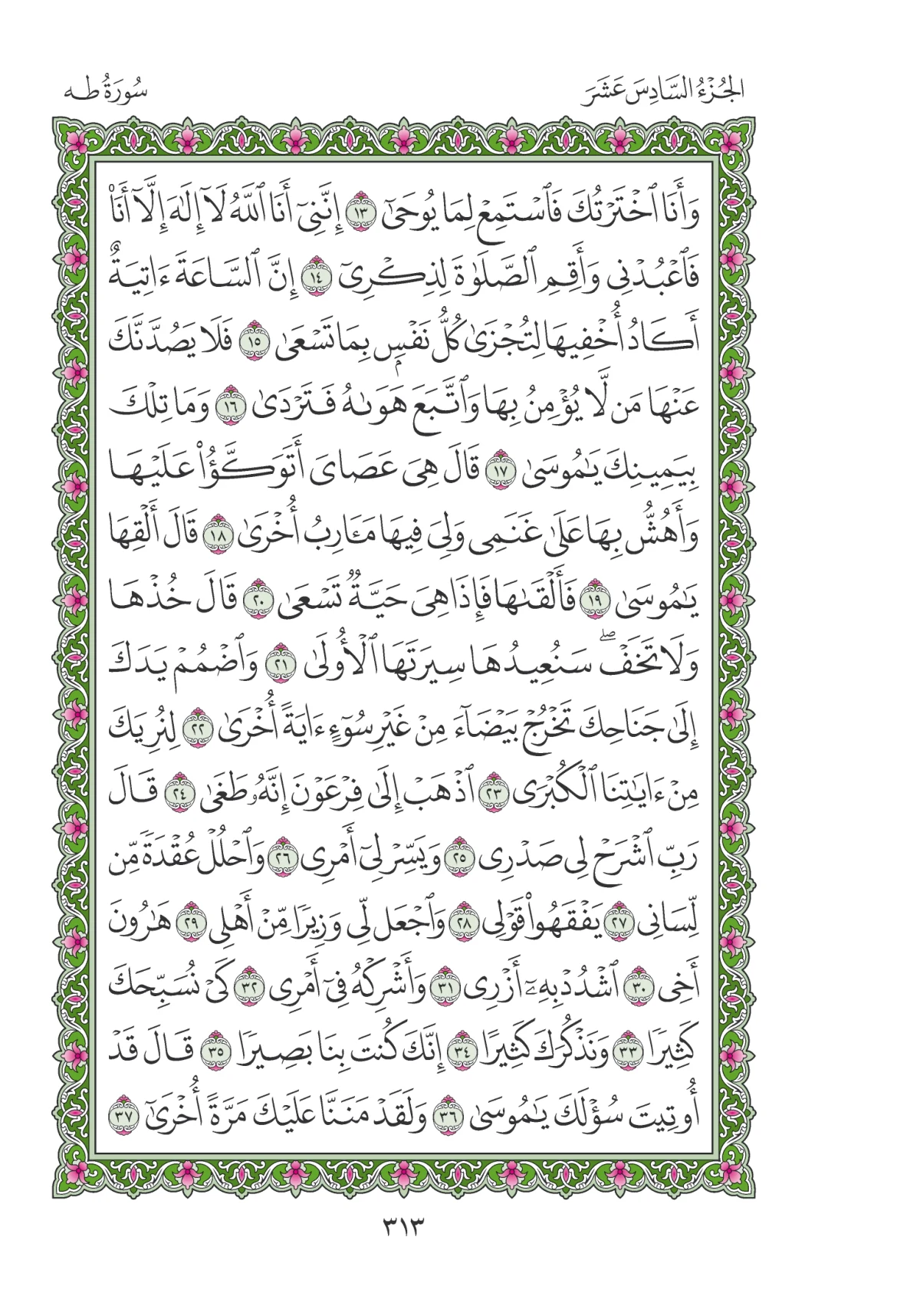 مصحف المدينة النبوية — طبعة المجمع، الصفحة 313
